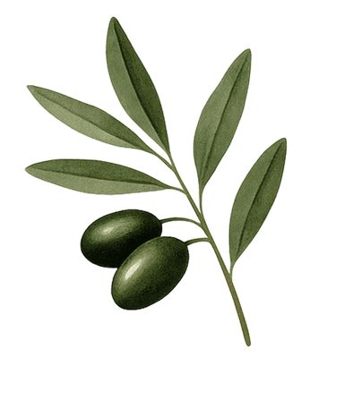 Olive branch